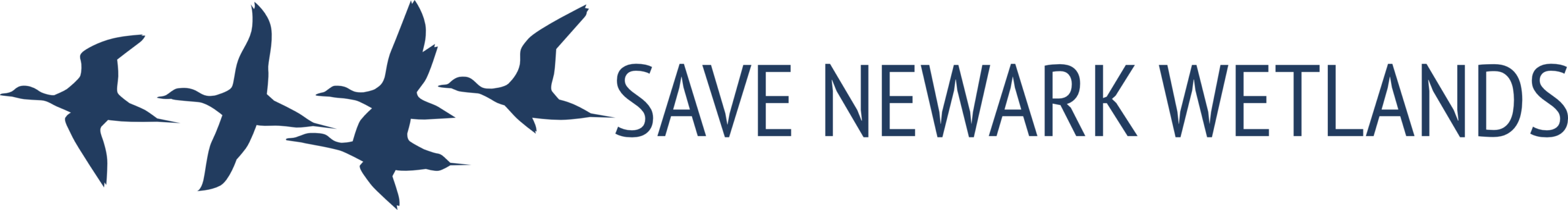 Save Newark Wetlands